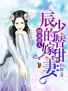 婚寵撩人：辰少的替嫁甜妻
