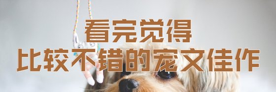 看完觉得比较不错的宠文佳作